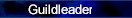 gleader.jpg (2257 bytes)